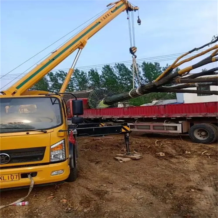 嘉鱼100吨吊车租赁费用怎么算？3大关键因素+省钱技巧全解析